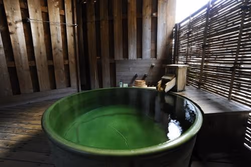 Japanese-Style Standard Room with Open-Air Bath