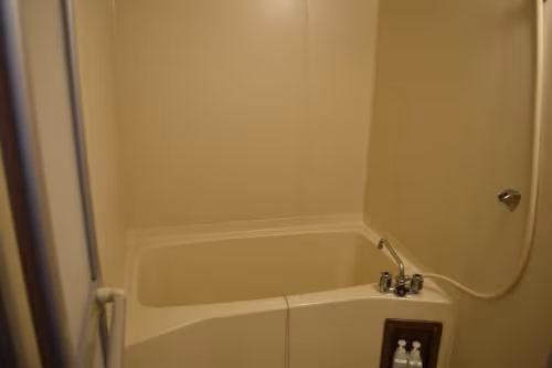Japanese-Style Superior Room - Non-Smoking