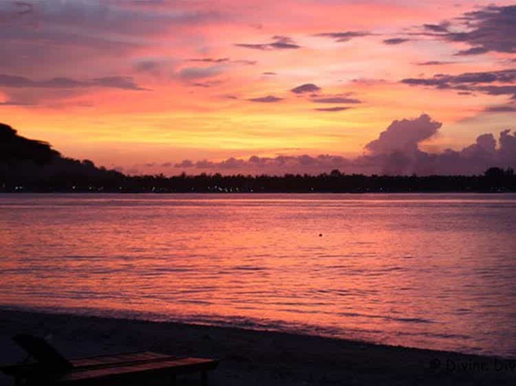 Divine Divers Resort Divine Divers Resort