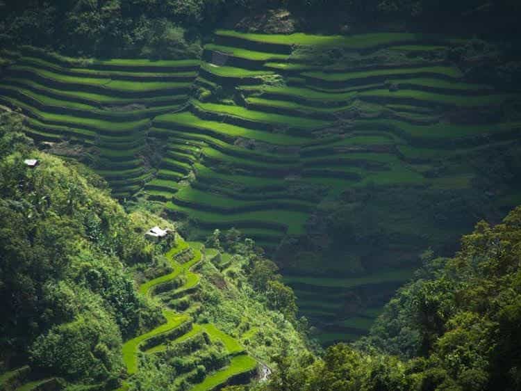 Batad Transient House Batad Transient House