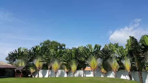 Chalong Pool Villa Chalong Pool Villa
