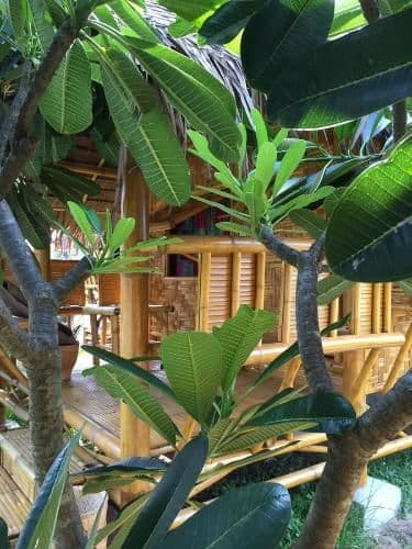 Bungalow - Beach Front