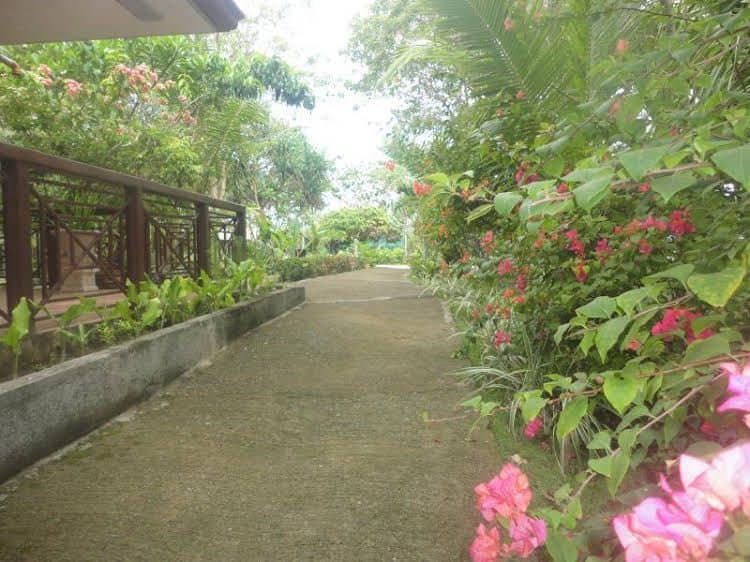 Haruhay Dream Resort and Restaurant Haruhay Dream Resort and Restaurant
