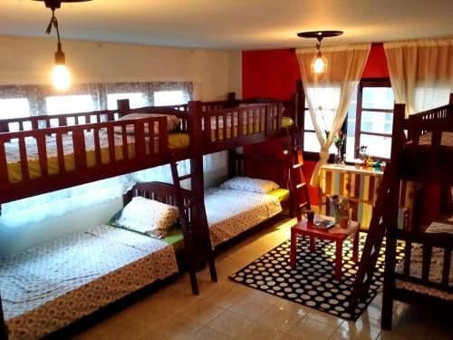 Bed in 6-Bed Female Dormitory Room
