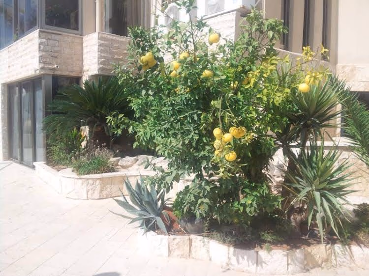 Marom Residence Romema1
