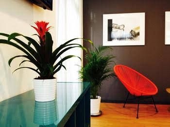 The Corner 5920