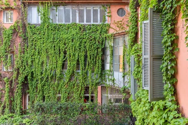 APARTMENT STANDARD