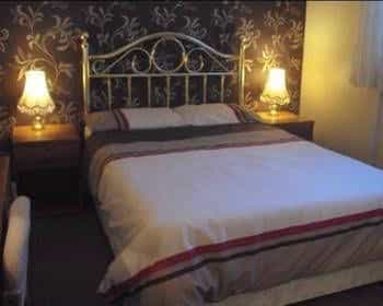 Yorkies Guest House Yorkies Guest House