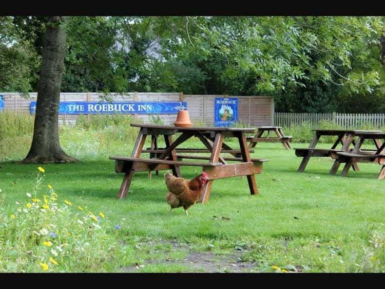 The Roebuck Inn The Roebuck Inn