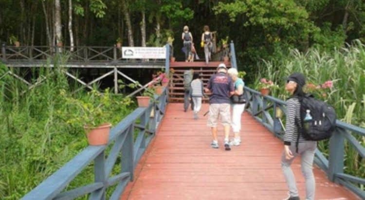NATURE LODGE KINABATANGAN, SANDAKAN NATURE LODGE KINABATANGAN, SANDAKAN