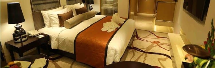 ไพรด์ พลาซ่า โฮเทล แอโรซิตี้ นิวเดลี (Pride Plaza Hotel, Aerocity New Delhi)0