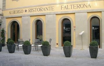 FALTERONA FALTERONA