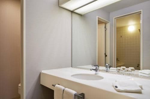 Deluxe (2 BEDS), 1 Bedroom Bi-level Loft, Mountain view