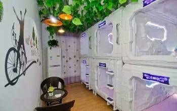 Intercity Capsule Youth Hostel Temple Intercity Capsule Youth Hostel Temple