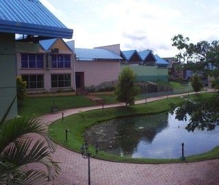Los Guayacanes2