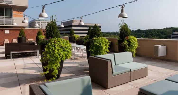 Global Luxury Suites at Spring Hill