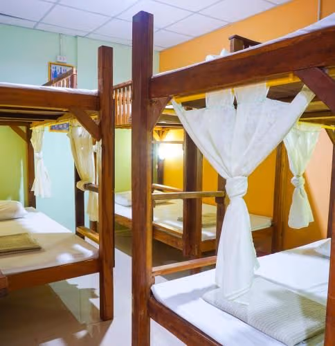 Bunk Bed in Mixed Dormitory Room with Shared Bathroom