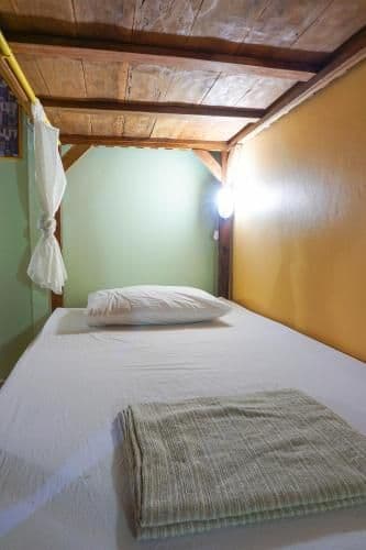 Bunk Bed in Mixed Dormitory Room with Shared Bathroom