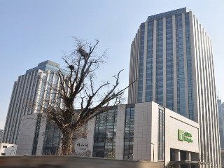 ฮอลิเดย์ อินน์ ซิตี้ เซ็นเตอร์ ชิงเต่า (Holiday Inn City Centre Qingdao)3