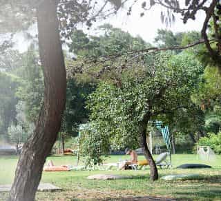 Hanedan Beach