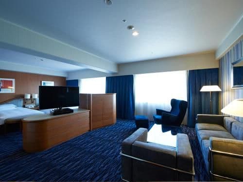 Junior Suite Double Room - Non-Smoking - Annex