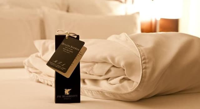 SINGLE GUEST ROOM