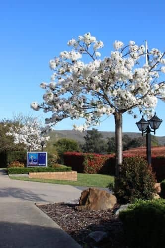 Hume Country Motor Inn Hume Country Motor Inn