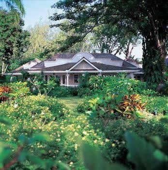 Coral Reef Club0