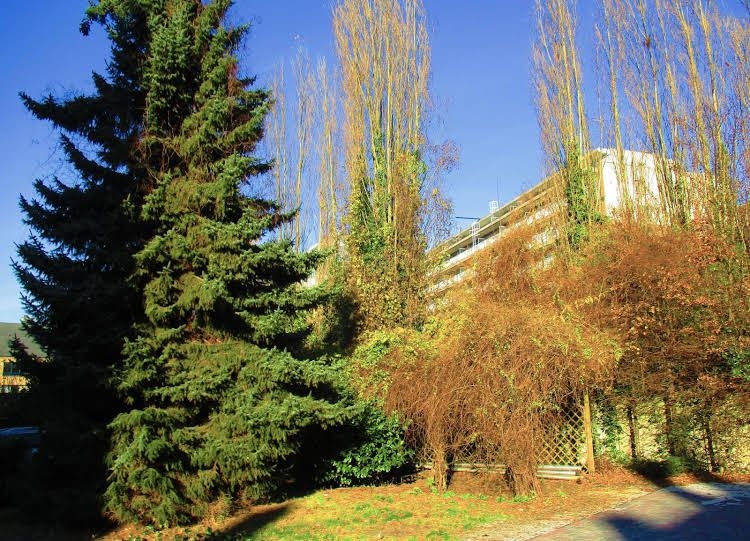 Value Stay Residence Mechelen0