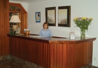 Stil Bonsai1