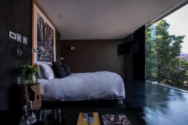 SUITE STANDARD