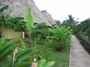 Casa del Caballo Blanco0