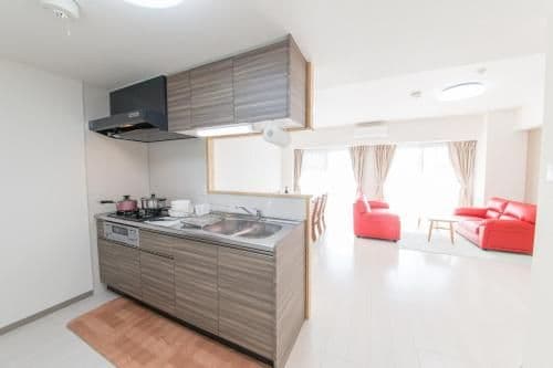 Deluxe Apartment