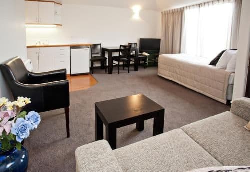 Large One-Bedroom Apartment