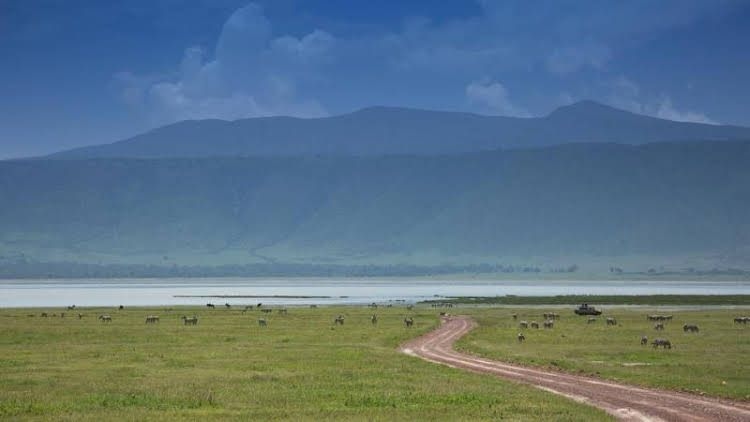 Kenzan Tented Camp0