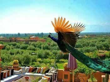Kasbah Ait Oumghar Iminifri