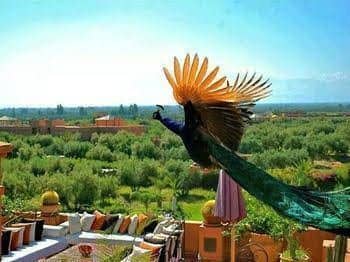 Kasbah Ait Oumghar Iminifri Kasbah Ait Oumghar Iminifri