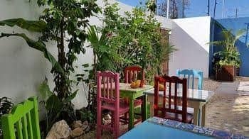 Vainilla Bed an Breakfast Mexico Vainilla Bed an Breakfast Mexico
