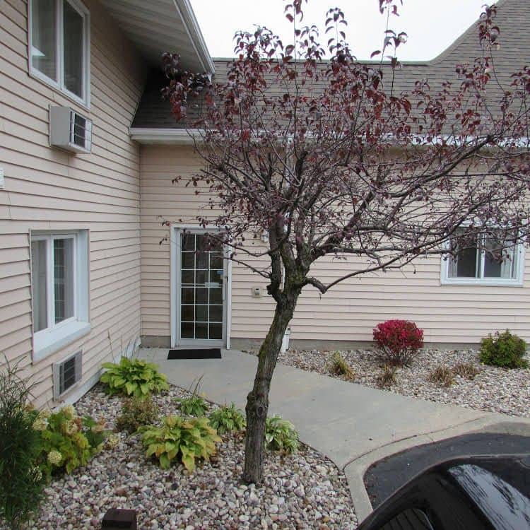 Magnuson Grand Pioneer Inn and Suites Magnuson Grand Pioneer Inn and Suites