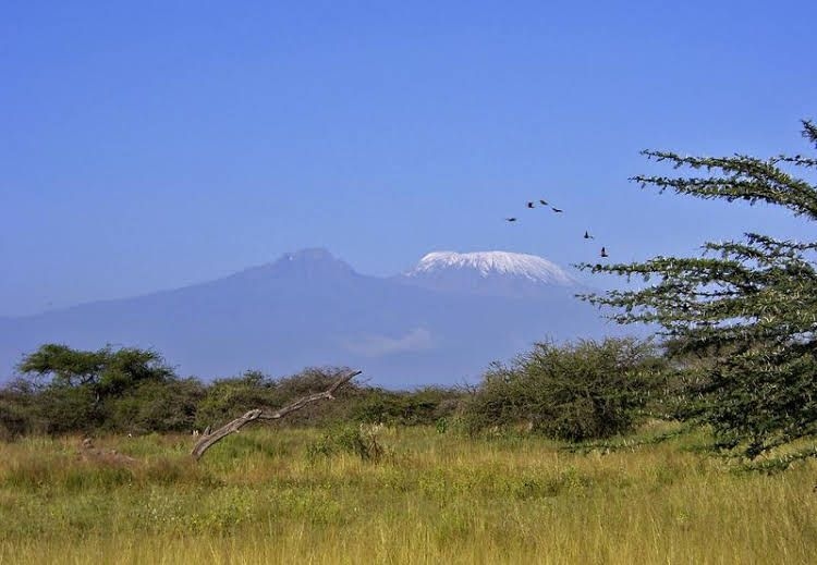 Severin Safari Camp0
