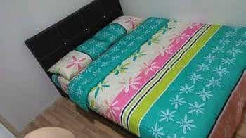 New Society Backpackers Hostel New Society Backpackers Hostel