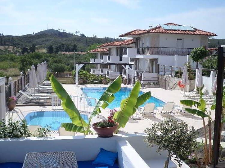 Ampelia and Studios0