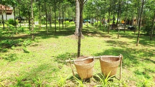 Mountain View Villa with Kitchen (2 Bedrooms)