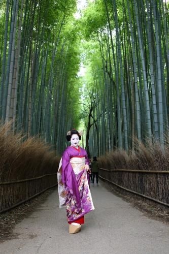 Kyoto Nijo Ohan2