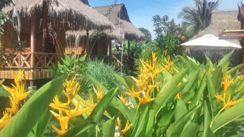 Bird of Paradise Bungalows Bird of Paradise Bungalows