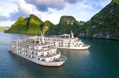 Paradise Elegance Cruise Halong0
