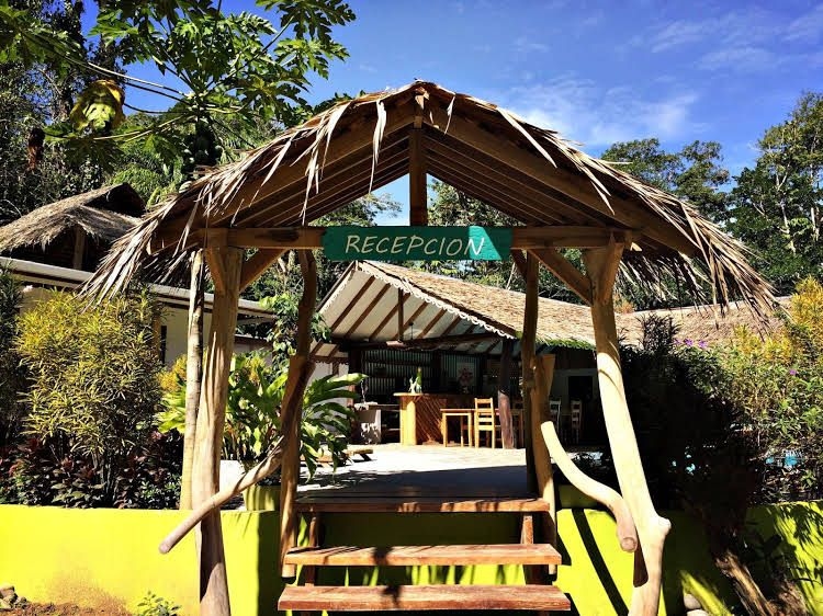 La Rana de Cahuita0