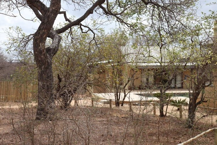 Lili Bush Guesthouse0