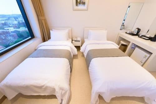 Superior Double or Twin Room with Mountain View