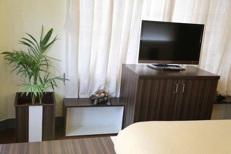 Bed and Breakfast Thamel Bed and Breakfast Thamel